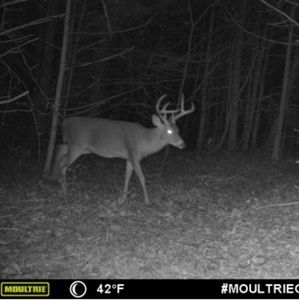 Meet your Posher, Dustin